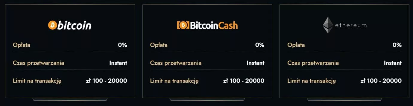 Przewodnik po Bitcoin w kasynach
