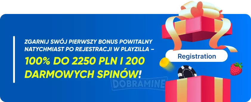 Oferty Bonusowe i Promocje w Playzilla Casino