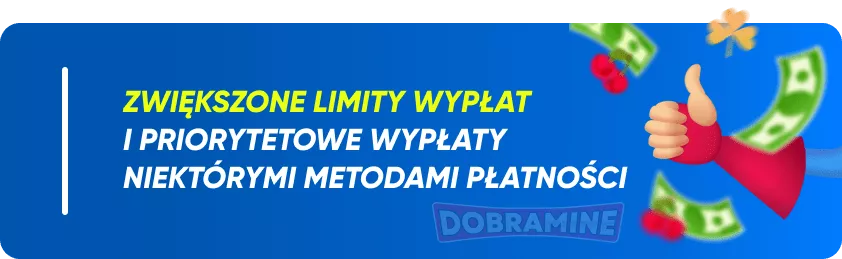 Opcje płatności dla Polaków w Nine Casino 