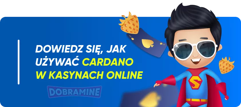 Funkcje Cardano w Kasynach Online w Polsce 